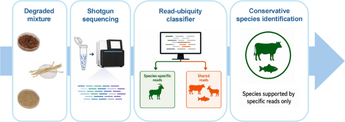 A damage-aware NGS workflow for conservative species identification from ultra-degraded DNA - Analytical and Bioanalytical Chemistry