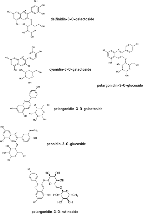 cornus fruit glutathione Health-Promoting Properties of Anthocyanins from Cornelian Cherry (Cornus mas L.) Fruits Frontiers | Therapeutic mechanisms of