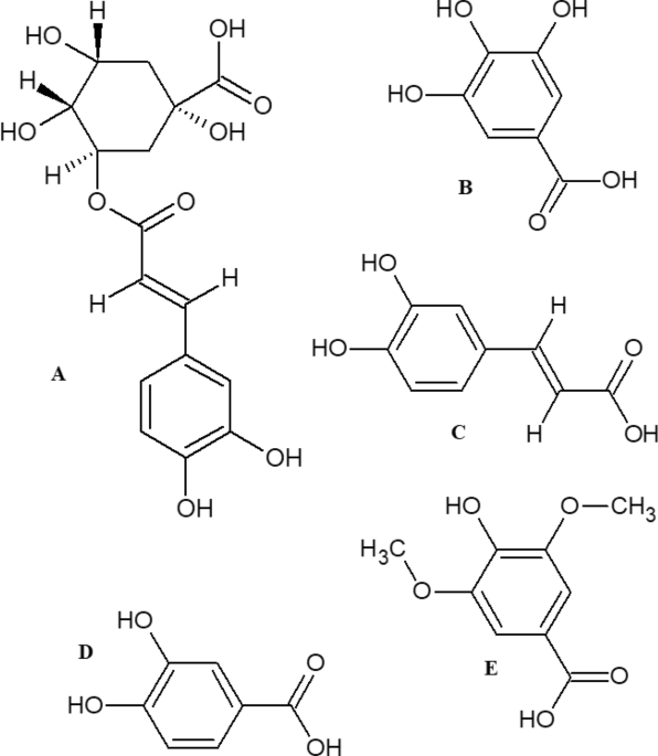 what are the benefits of l carnitine what is the purpose of l carnitine Role of L-carnitine in exercise training: Anti-inflammatory, what are the benefits of l carnitine what is the purpose of l carnitine Role of L-carnitine in exercise training: Anti-inflammatory,