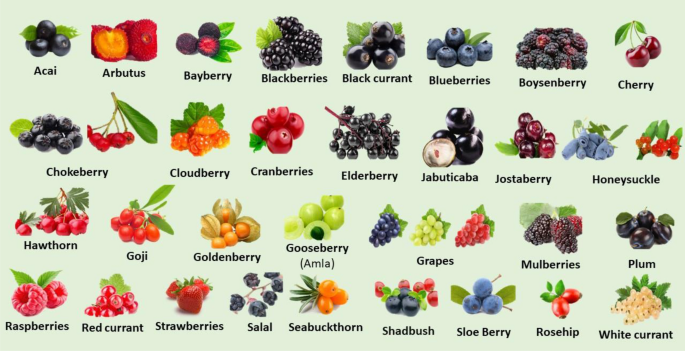 Types of Berries