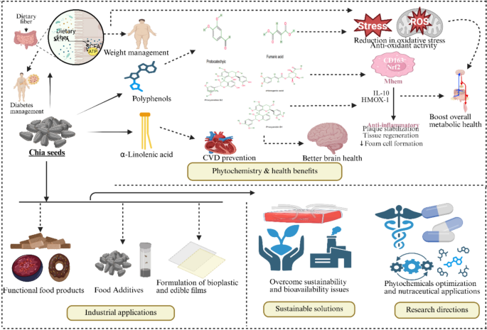 glutathione peroxidase supplement wakmart Unlocking the potential of chia seeds: from nutritional powerhouse to food innovation | European Food Research and Technology Choose a Size::Bag: 60 Scoops This is my daily 2025-review-package-disclaimer