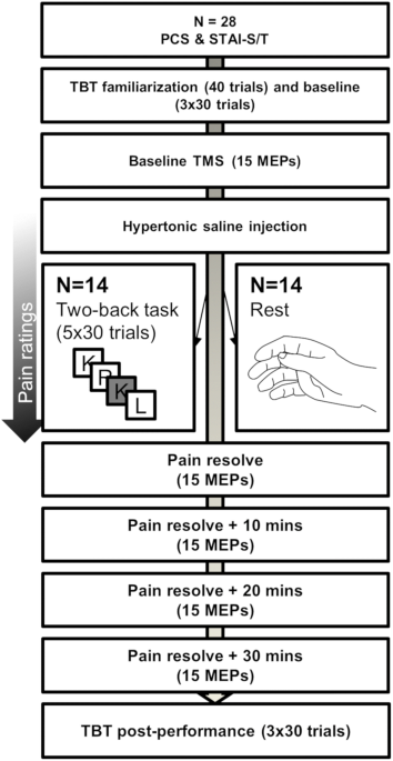 Familiarizing with the Major Upper Back Pain Stimulations