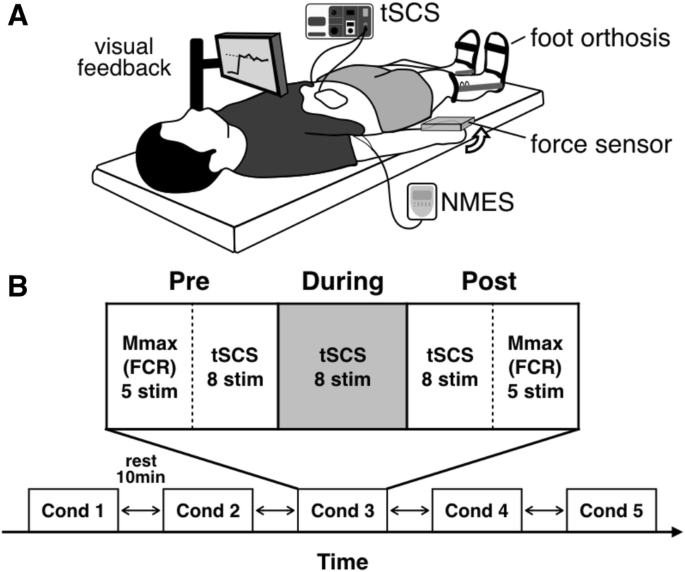 Effects of neuromuscular electrical stimulation and voluntary commands on  the spinal reflex excitability of remote limb muscles