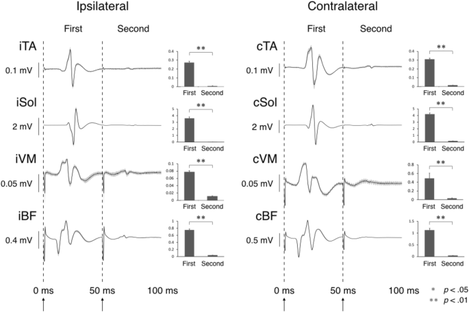 Effects of neuromuscular electrical stimulation and voluntary commands on  the spinal reflex excitability of remote limb muscles