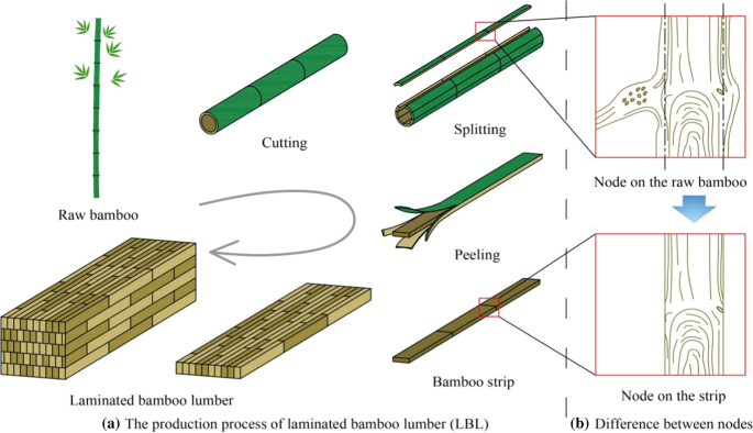 Bamboo node effect on the tensile properties of side press-laminated bamboo  lumber