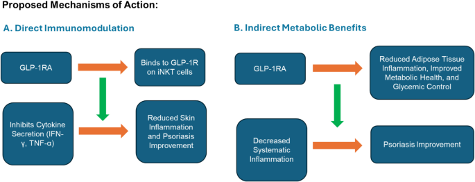 GLP-1 receptor agonists: emerging therapeutic potential in psoriasis  management — current evidence and future outlook | European Journal of  Clinical Pharmacology