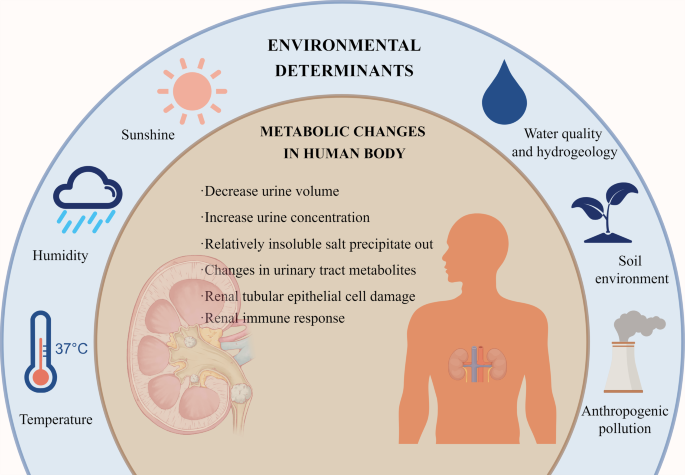 glutathione pediatric dose Environmental determinants in the development of kidney stone |  Urolithiasis