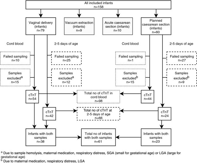 Normal troponin levels: Healthy ranges and what high levels mean