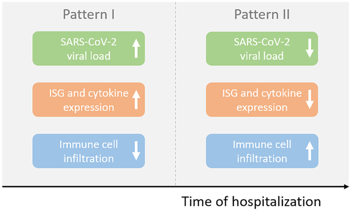 Antibody and CD8+ T Cell Responses: How the Delta Variant Evades Immunity?