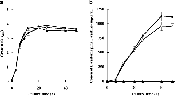 The outer membrane TolC is involved in cysteine tolerance and  overproduction in Escherichia coli