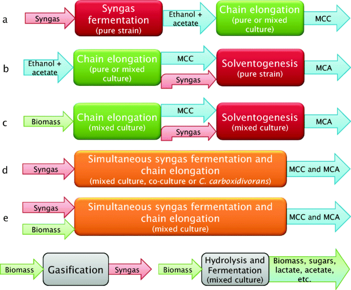 Microbial synthesis of medium-chain chemicals from renewables