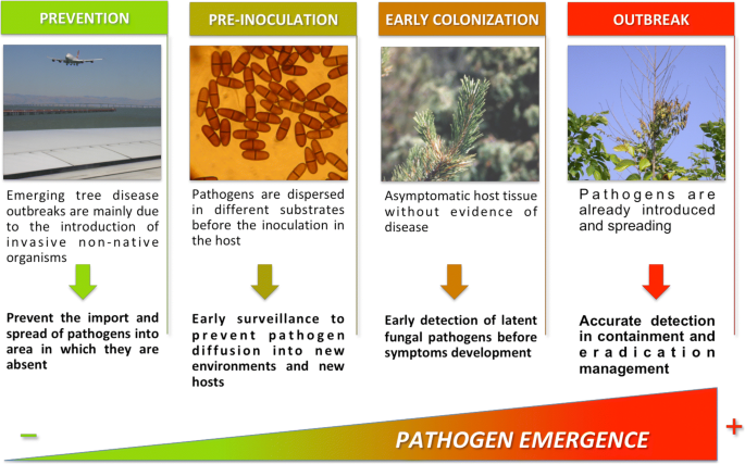 Laboratory of Emerging Fungal Pathogens