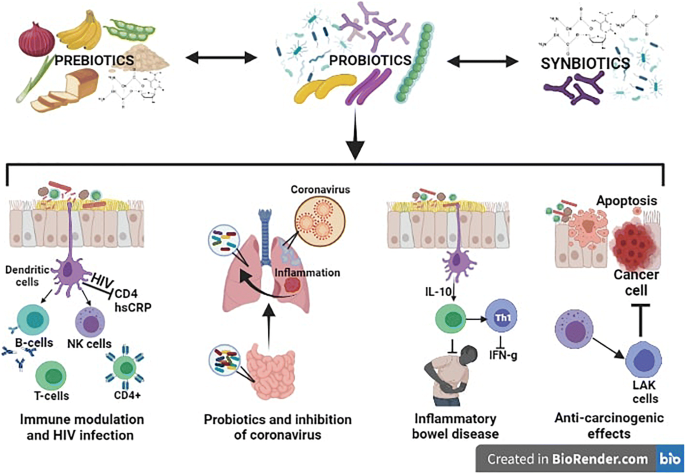 Probiotics, prebiotics and synbiotics: Safe options for next-generation  therapeutics | Applied Microbiology and Biotechnology