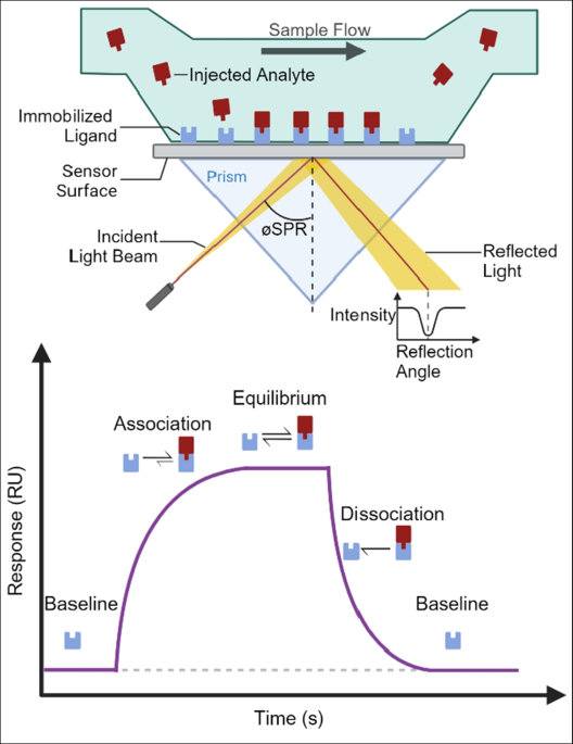 Antibody-independent surface plasmon resonance assays for influenza vaccine quality control