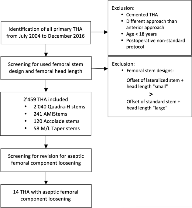 High femoral offset as a risk factor for aseptic femoral component  loosening in cementless primary total hip arthroplasty