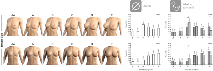 The Search for the Ideal Female Breast: A Nationally