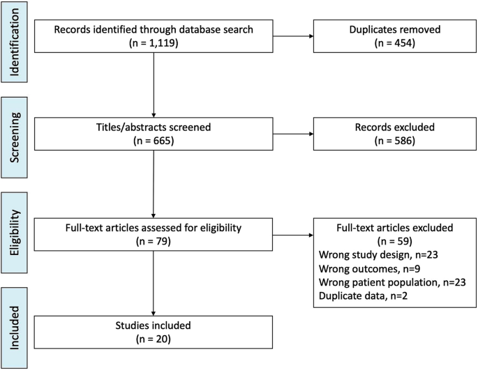 Complications of Aesthetic Surgical Tourism Treated in the USA: A  Systematic Review