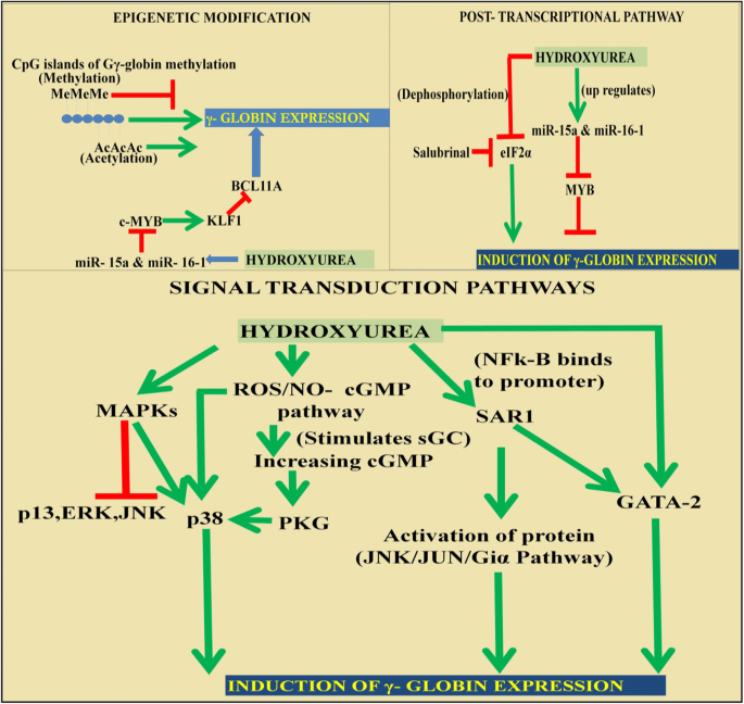 cjc 1295 ipamorelin water retention cjc-1295 ipamorelin dosing CJC-1295 (no DAC) + Ipamorelin (Blend)