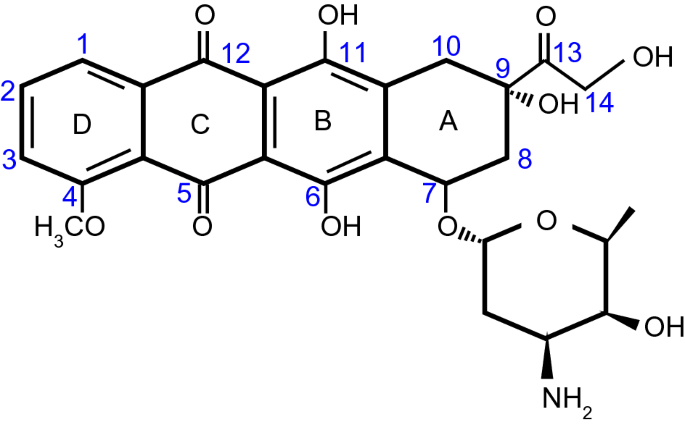 Cytotoxic mechanisms of doxorubicin at clinically relevant concentrations in breast cancer cells | Cancer Chemotherapy and Pharmacology