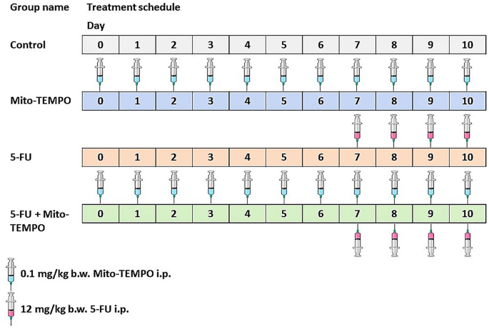 glutathione mito therapy and mitochondria Mesenchymal Stem Cell-Derived Mitochondrial Transfer