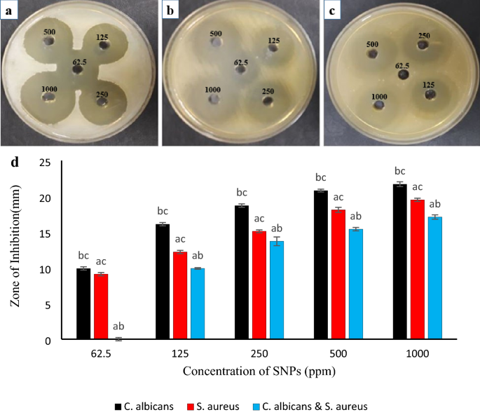 l carnitine bacteria Effect of Silver Nanoparticles and L-Carnitine Supplement on Mixed Vaginitis Caused by Candida albicans/ Staphylococcus aureus in Mouse Models: An Experimental Study | Current Microbiology How does the reaction supp Size:1000ml