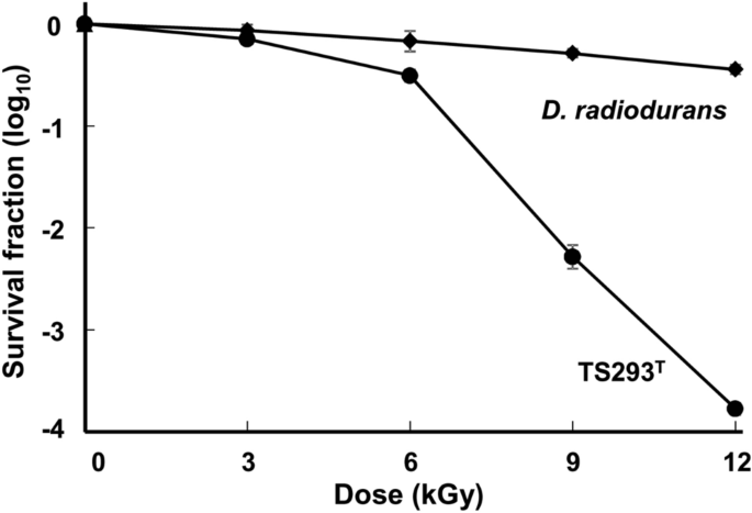 Deinococcus radiodurans: Radiation resistance – The Microbial