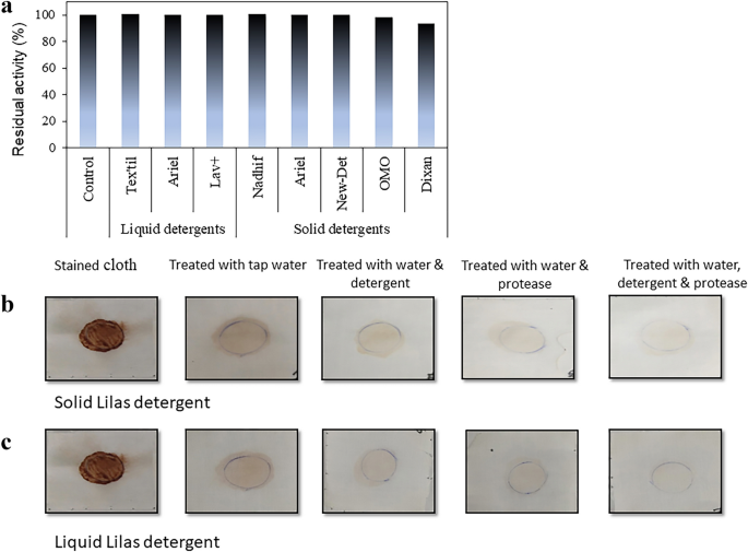 Bacillus Swezeyi B2 Strain: A Novel Alkaliphilic Bacterium Producer of  Alkaline-, Thermal, Oxidant-, and Surfactant-Stable Protease, Extremely  Efficient in Detergency