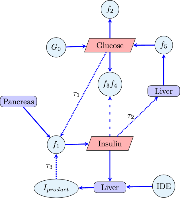 Schematic regulatory pathways for insulin- and diDCP-LA-PE-induced