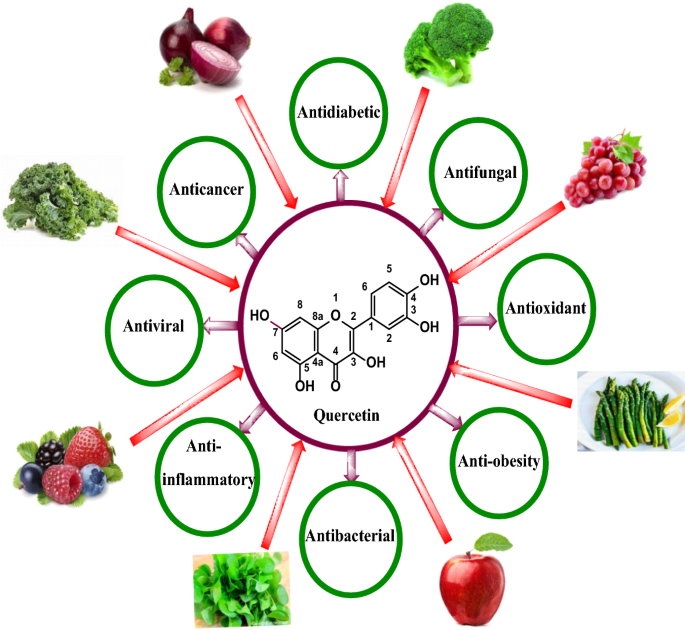 An insight into anticancer, antioxidant, antimicrobial, antidiabetic and anti-inflammatory effects of quercetin: a review | Polymer Bulletin