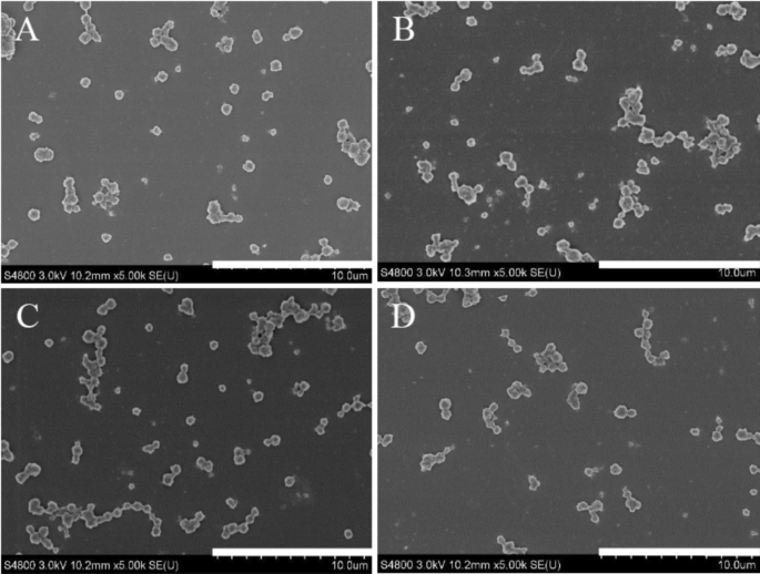 Microfibres multi-usages vertes x5