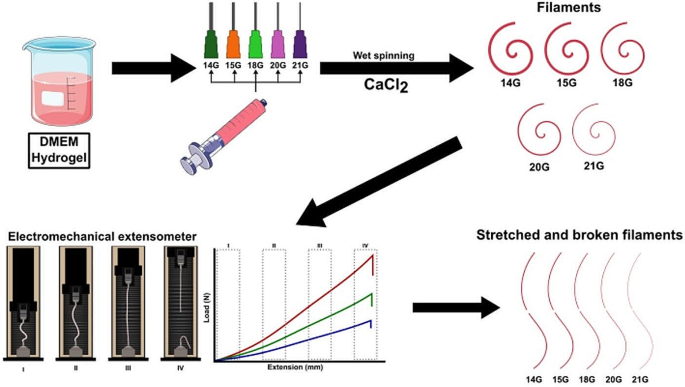 Alginate-based hydrogels as drug delivery vehicles in cancer treatment and  their applications in wound dressing and 3D bioprinting, Journal of  Biological Engineering