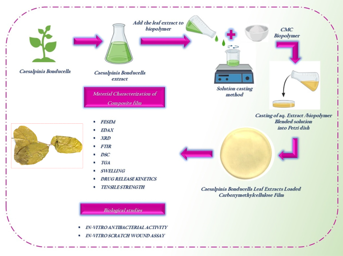 where to get klow peptide KLOW Peptide Blend where to get klow peptide KLOW Peptide Blend