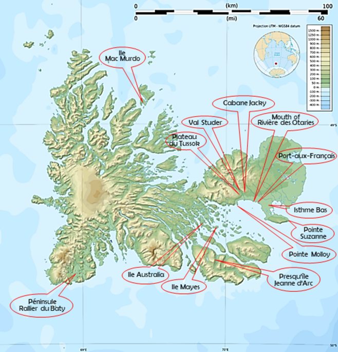 Genome size and chromosome number of ten plant species from Kerguelen  Islands | SpringerLink