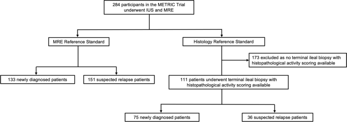 FIGURE. Diagnosis and treatment in 284 consecutive patients with