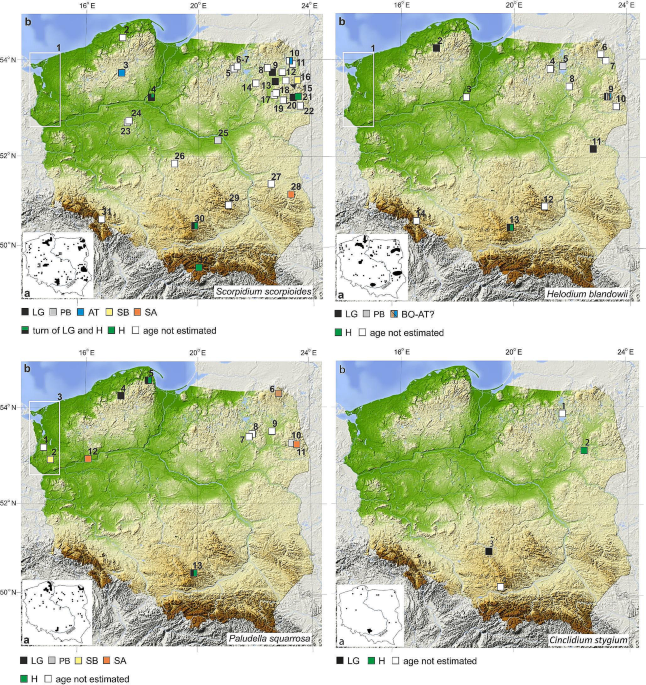 Mosses recognized as glacial relicts from their postglacial distribution in  Poland | Vegetation History and Archaeobotany