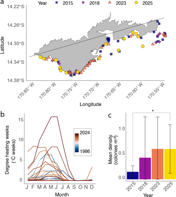 From stability to decline: threefold increase in partial mortality of threatened Isopora crateriformis in American Samoa following the 2024 Global Coral Bleaching Event - Coral Reefs