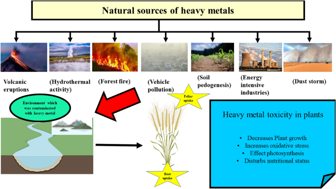 Dust and heavy metals reduction measures