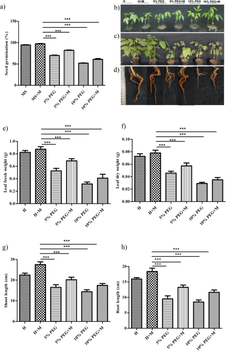 glutathione peptide before and after Glutathione Injections