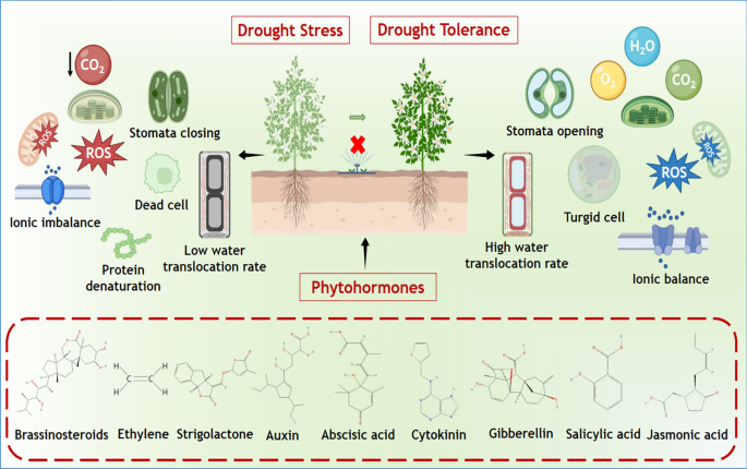 maxone glutathione reviews Frontiers Frontiers | Alternative splicing of