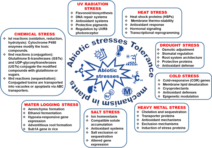Plant Resilience to Abiotic Stress: Enhancing Mechanisms, Strategies, and  Innovations | Journal of Plant Growth Regulation