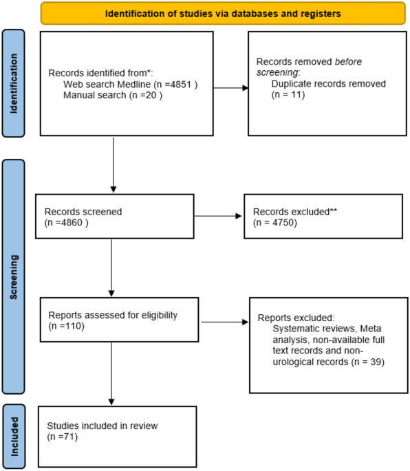 Artificial intelligence in urolithiasis: a systematic review of utilization and effectiveness