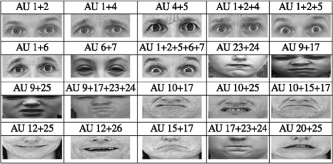 A comprehensive survey on automatic facial action unit analysis | The  Visual Computer