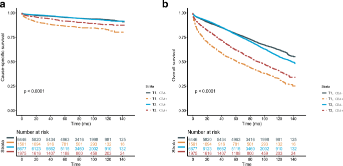Preoperative serum carcinoembryonic antigen elevation in stage I colon  cancer: improved risk of mortality in stage T1 than in stage T2 |  International Journal of Colorectal Disease