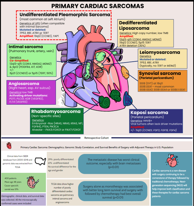 melanotic sarcoma of heart Cardiovascular magnetic resonance the charcoal | Journal of Cardiovascular Magnetic Resonance Surgical Treatment of Cardiac and
