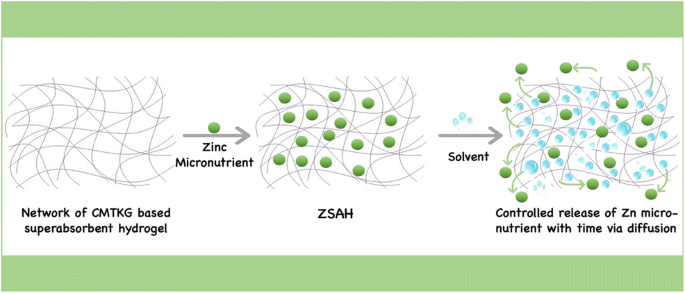 Zinc micronutrient-loaded carboxymethyl tamarind kernel gum-based