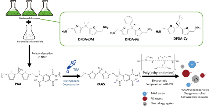 Toward sustainable polyelectrolyte nanoparticles: aqueous self-assembly of partially bio-based poly(amic acids) with poly(ethyleneimine) - Colloid and Polymer Science