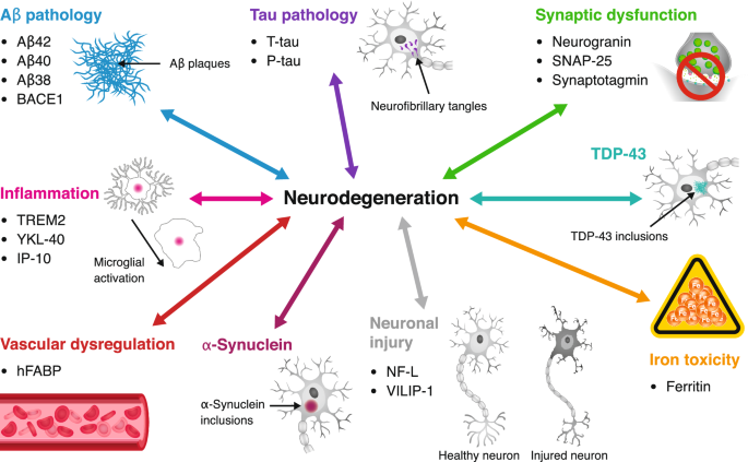 PDF) Blood Biomarkers of Alzheimer's Disease and Cognition: A Literature  Review.