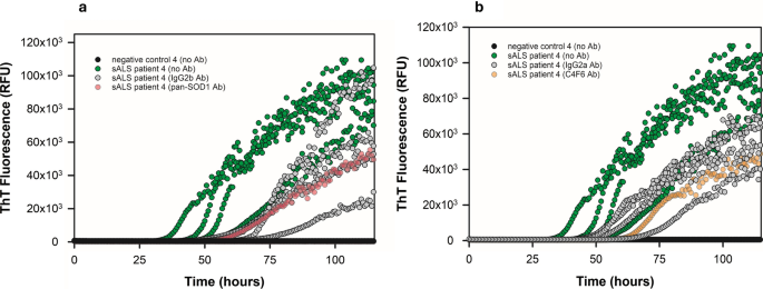 Seeding activity of human superoxide dismutase 1 aggregates in familial and sporadic amyotrophic lateral sclerosis postmortem neural tissues by real-time quaking-induced conversion