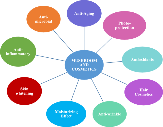 mushrooms a rich source of the antioxidants ergothioneine and glutathione Mushrooms in modern cosmetics: unlocking anti-aging, antioxidant, and  therapeutic potential | Archives of Dermatological Research