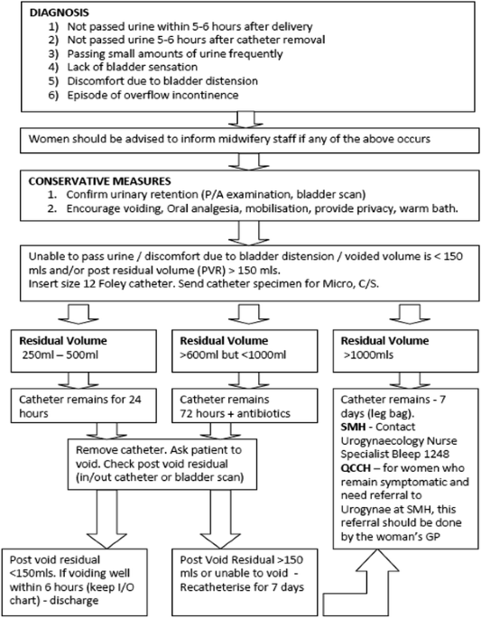 Acute post-partum urinary retention: analysis of risk factors, a  case–control study